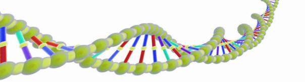 ADN et genes methyles