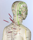 meridiens acupuncture