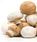 champignons proteines