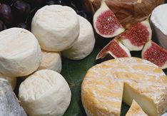 fromages de chevre