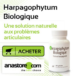 Harpagophytum Biologique