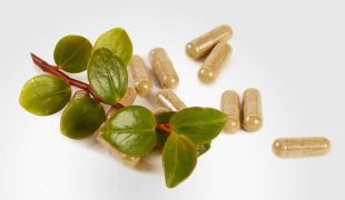 gelules et plante hormonale