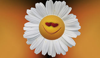 fleur-sourire un sourire séducteur