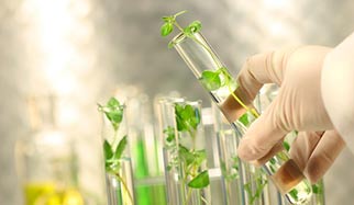 neurobioendogenie plantes � action hormonale