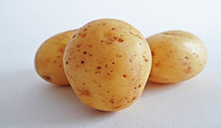 Les pommes de terre contiennent de la vitamine B6