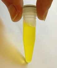 Riboflavine colorant en jaune