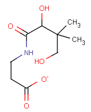 VitamineB5