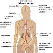 Traitement hormonal et ménopause