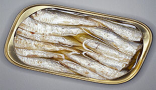 sardines grasses