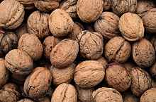 walnuts-986381_640