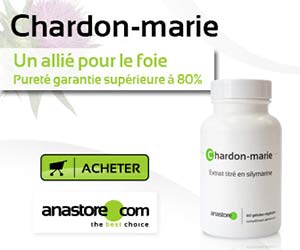 Chardon marie