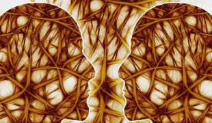 neurones-reseau Réseau de neurones