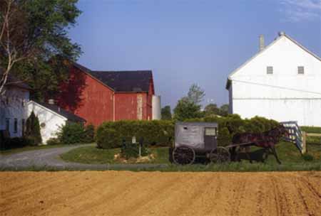 ferme et nature