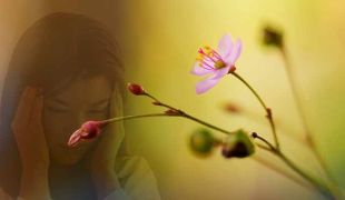stress et plante adaptogene