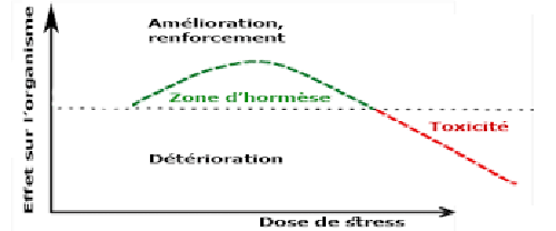 courbe stress et hormese