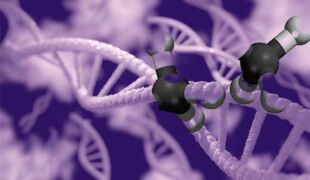 methylation de l'ADN