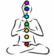 Chakras, glandes hormonales