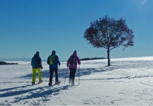 marcheurs en raquettes dans la neige