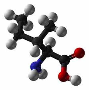 molécule d'isoleucine