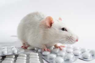 medicaments anti-age souris