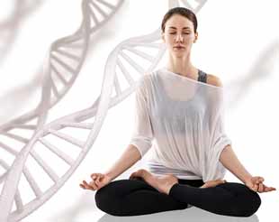 ADN telomeres et yoga