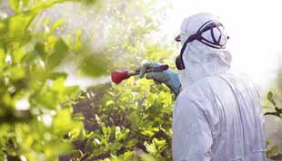 pulverisation de pesticides