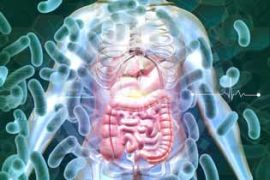 microbiome et intestins