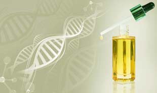 serum au pdrn et ADN